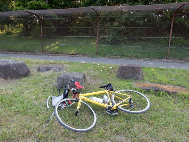 若洲公園のサイクリングロード