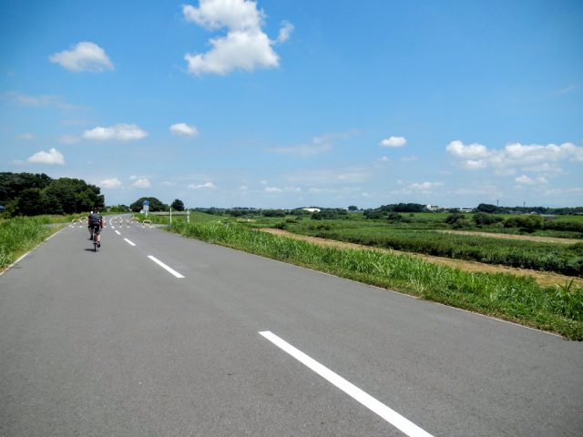 江戸川サイクリングロード