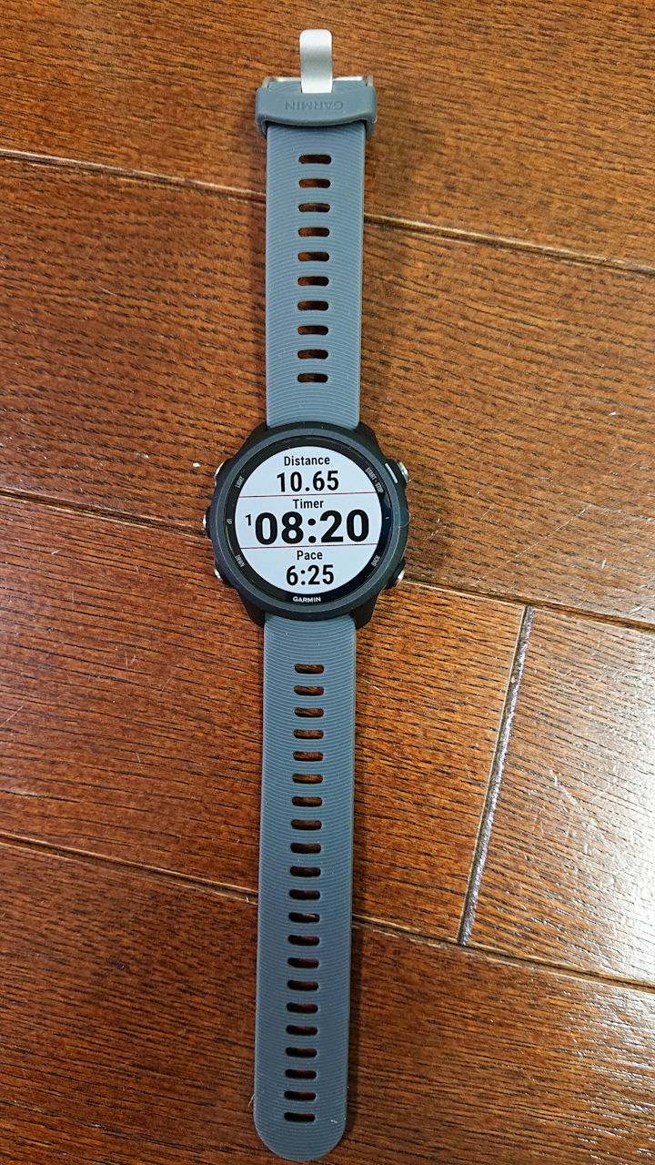 GARMIN ForeAthlete 945 ベルト交換済み 予備充電ケーブル有 - その他