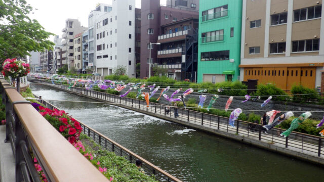 墨田区1周ライドしてきました　東京スカイツリー　鯉のぼり　チンアナゴ