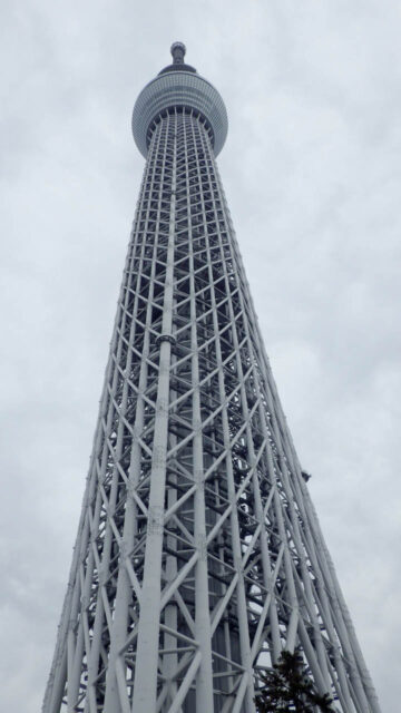 墨田区1周ライドしてきました　東京スカイツリー　鯉のぼり　チンアナゴ