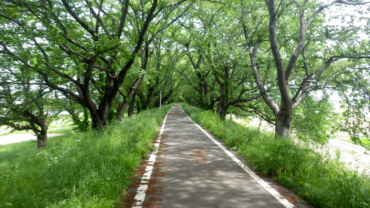 五家宝購入ライドしてきました(2回目)