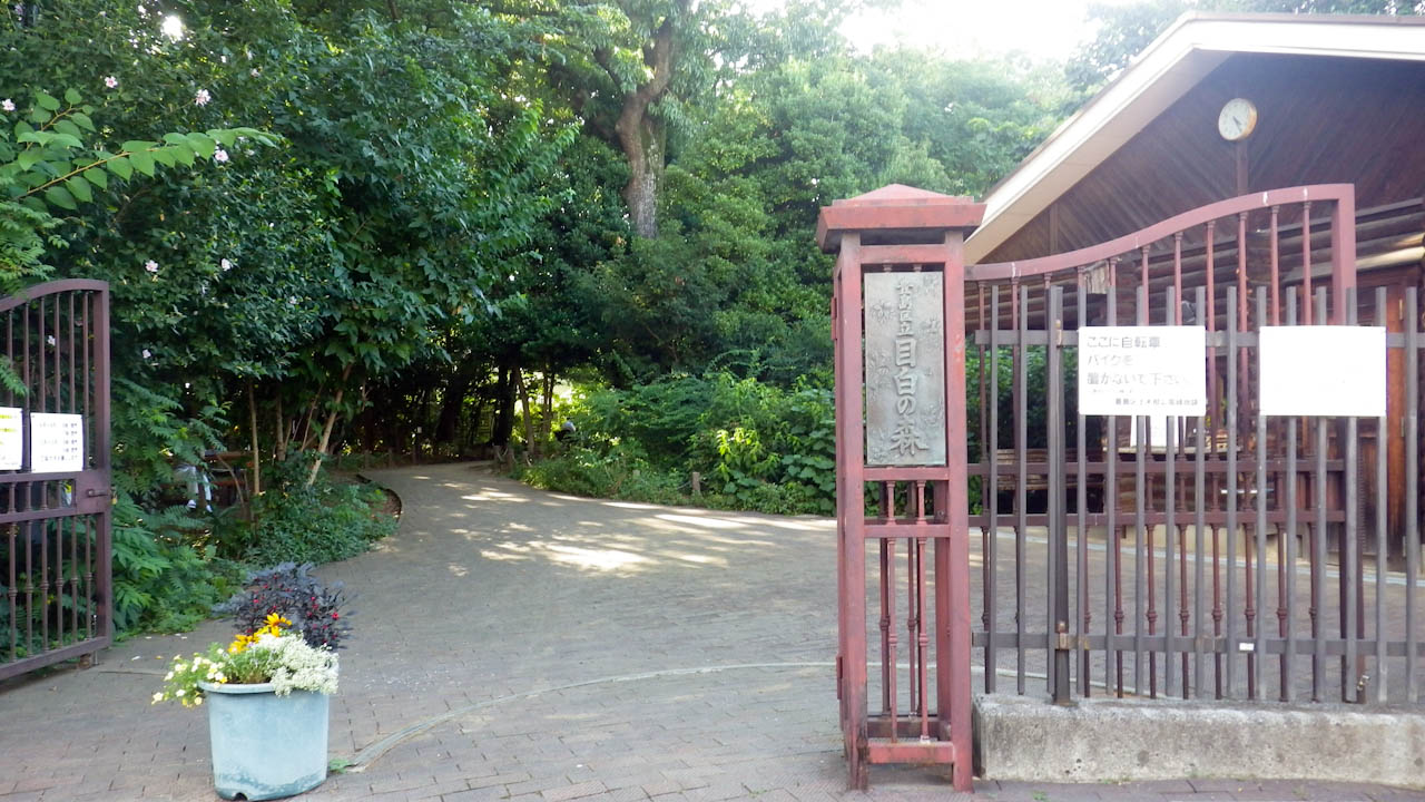 豊島区一周ライドをしてきました