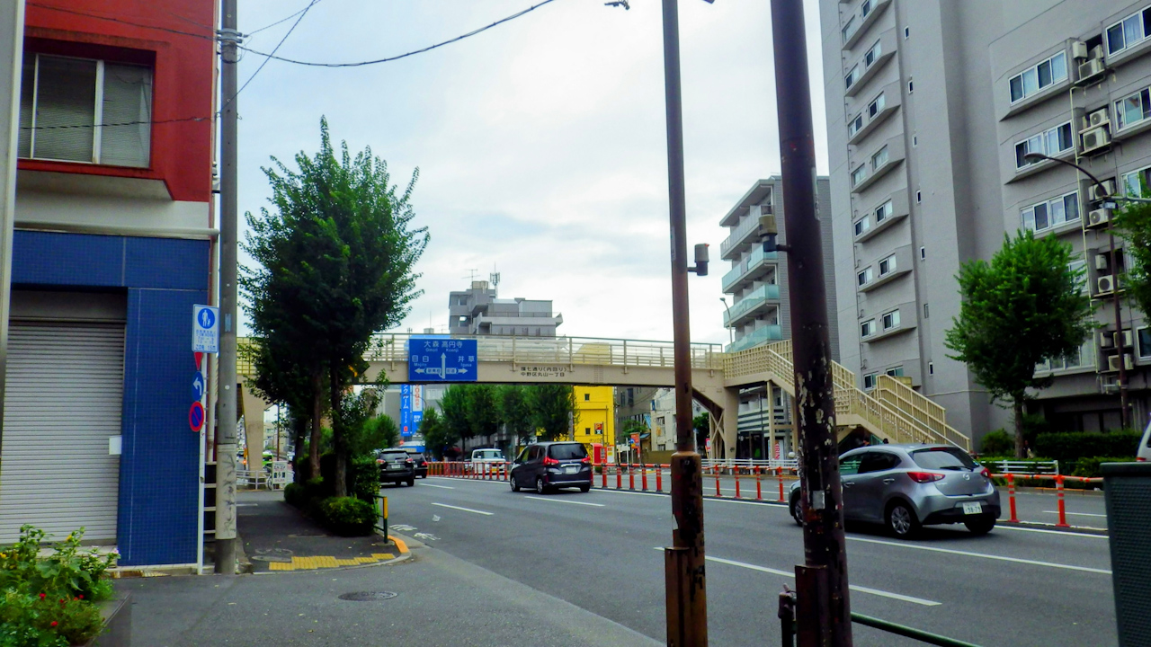 中野区一周ライドしてきました