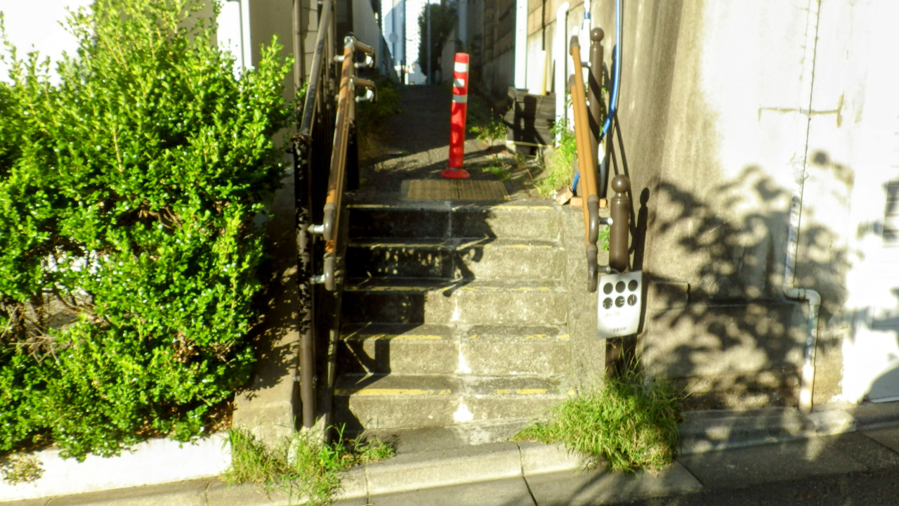 中野区一周ライドしてきました