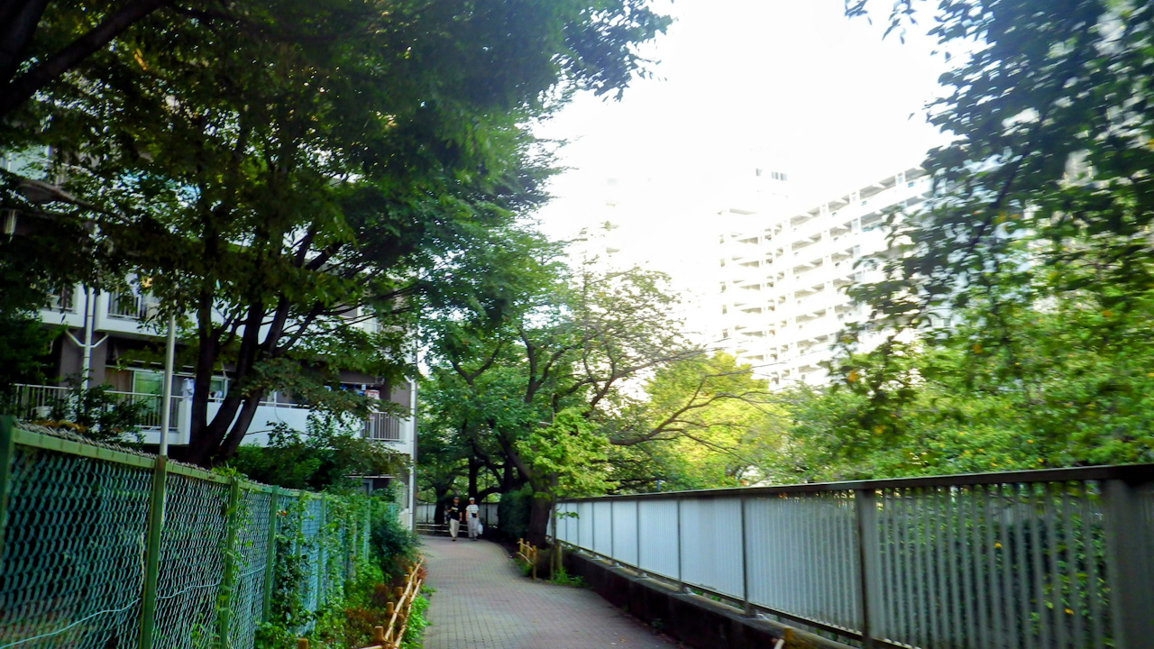 中野区一周ライドしてきました