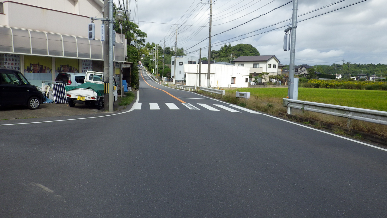 BRM1019さくら200矢切の渡しに参加してきました(後半)