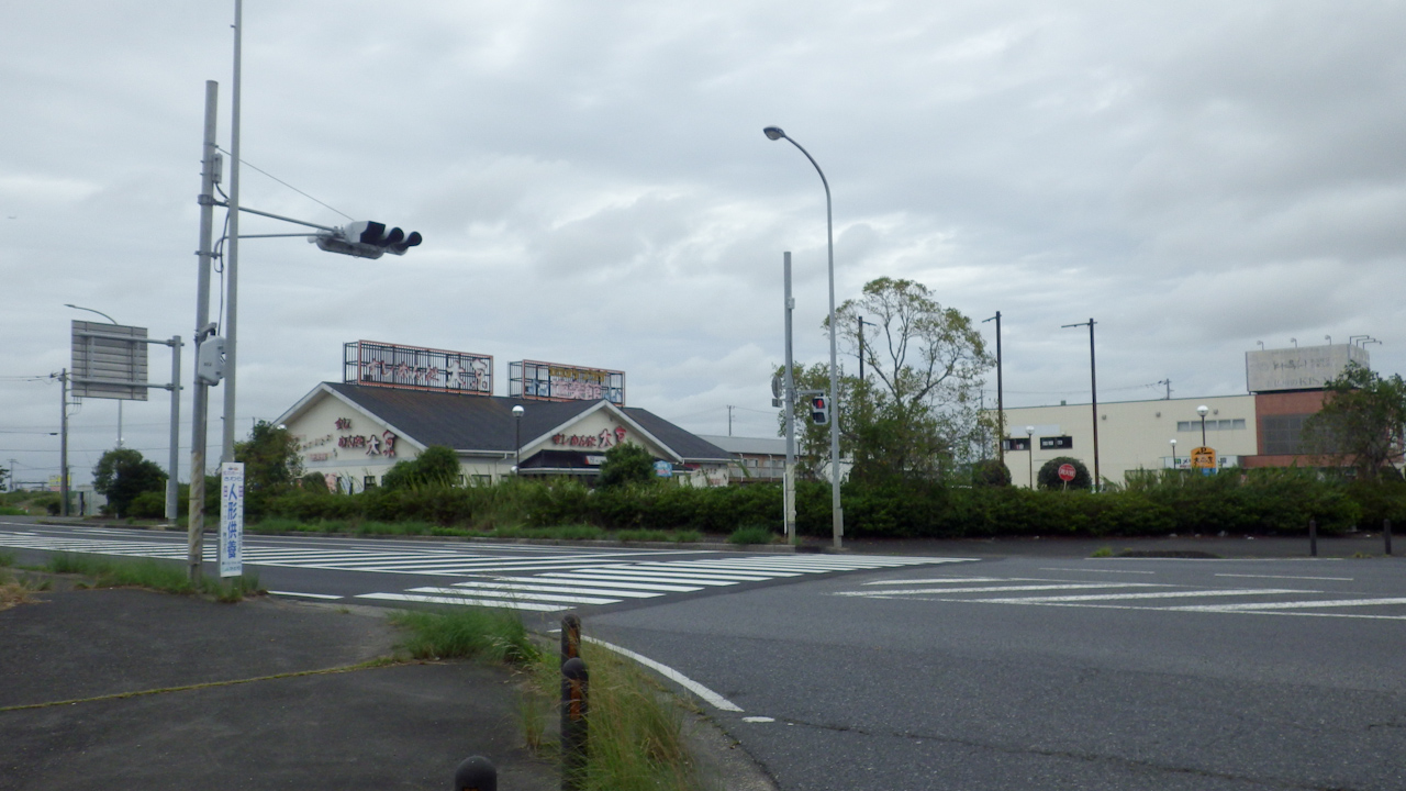 BRM1019さくら200矢切の渡しに参加してきました(後半)
