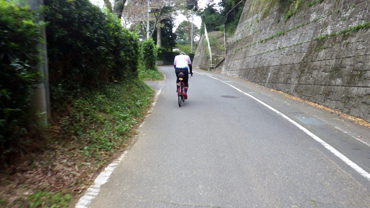 BRM1019さくら200矢切の渡しに参加してきました(後半)