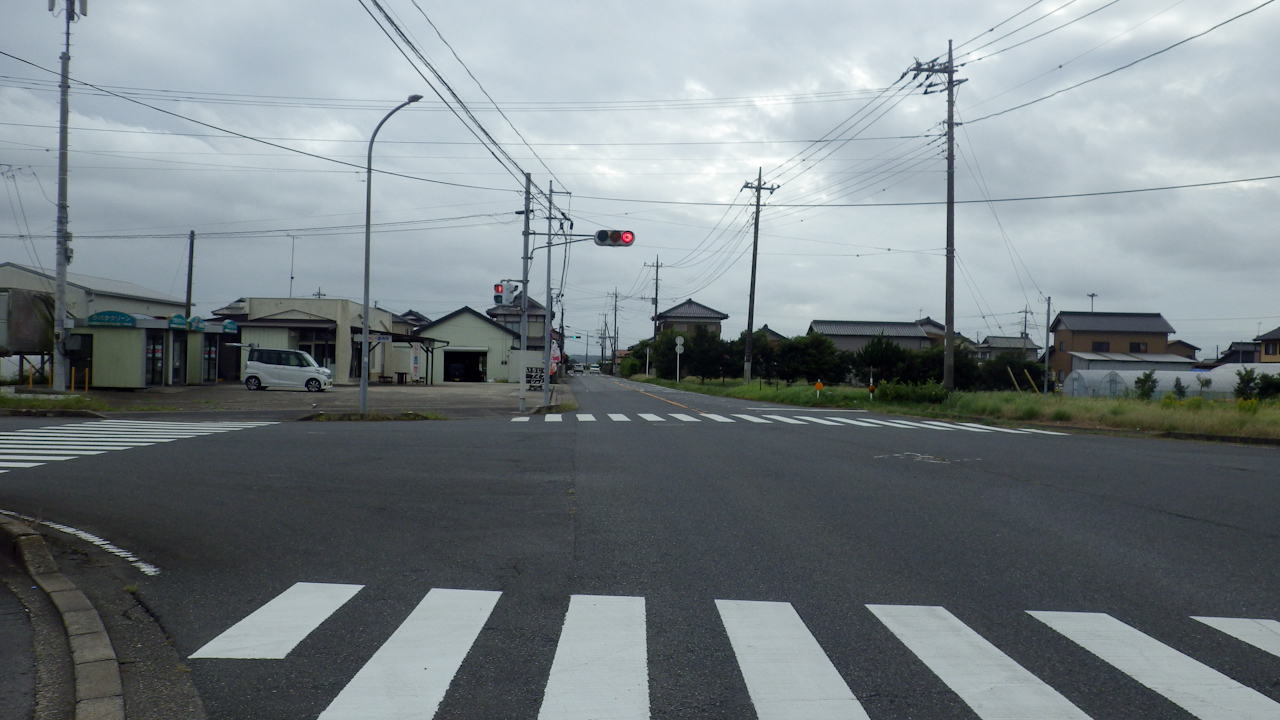 BRM1019さくら200矢切の渡しに参加してきました(後半)