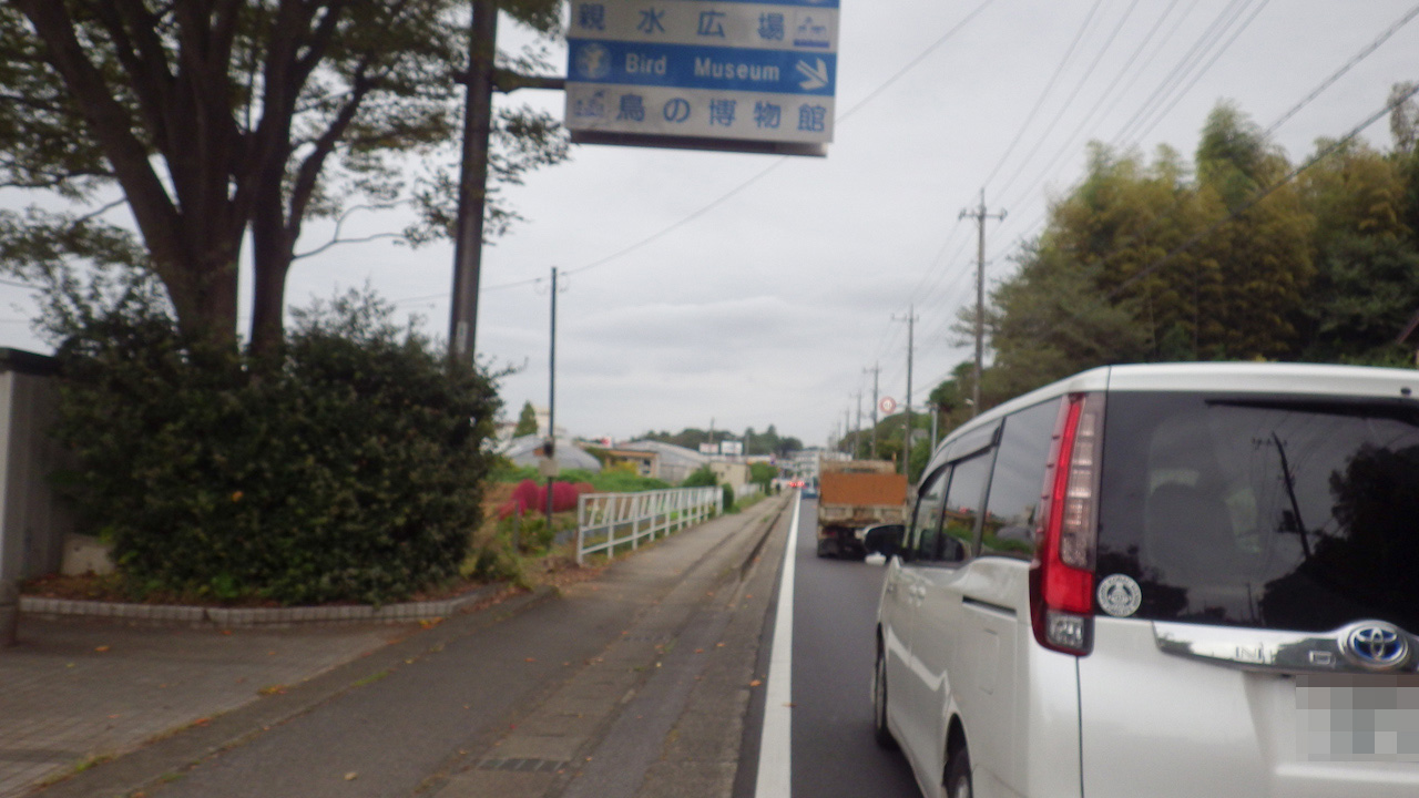 BRM1019さくら200矢切の渡しに参加してきました(後半)