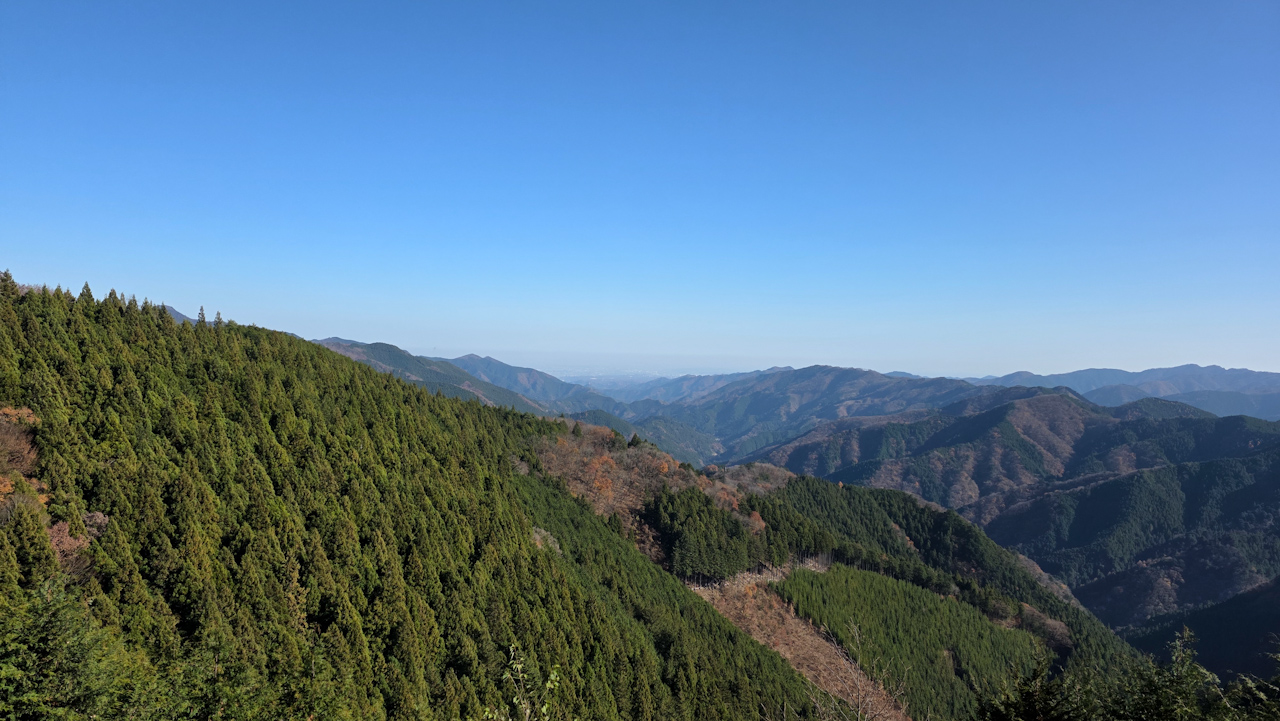 クラブライドで都民の森に行ってきました