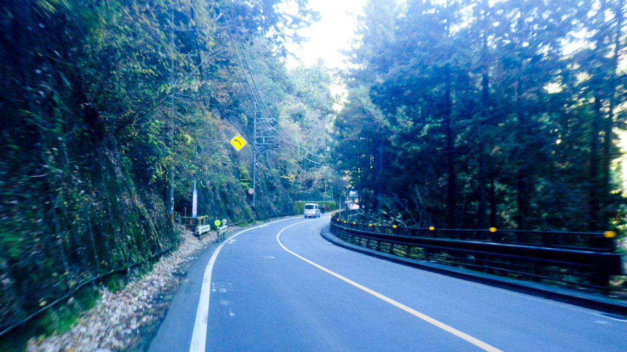 クラブライドで都民の森に行ってきました