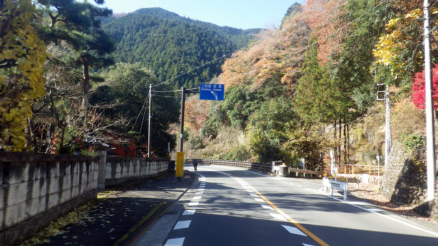 クラブライドで都民の森に行ってきました