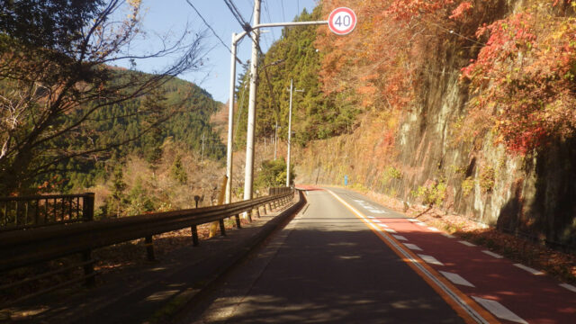 クラブライドで都民の森に行ってきました