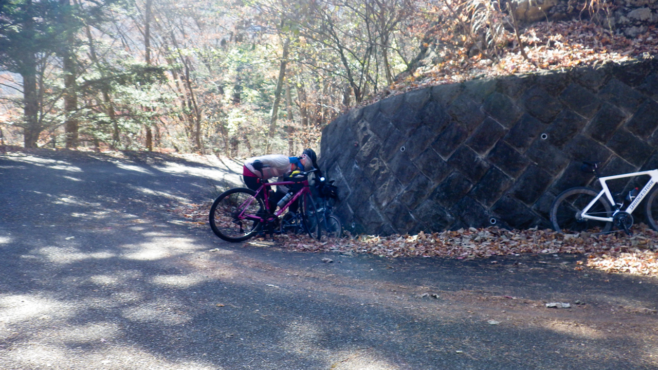 クラブライドで都民の森に行ってきました