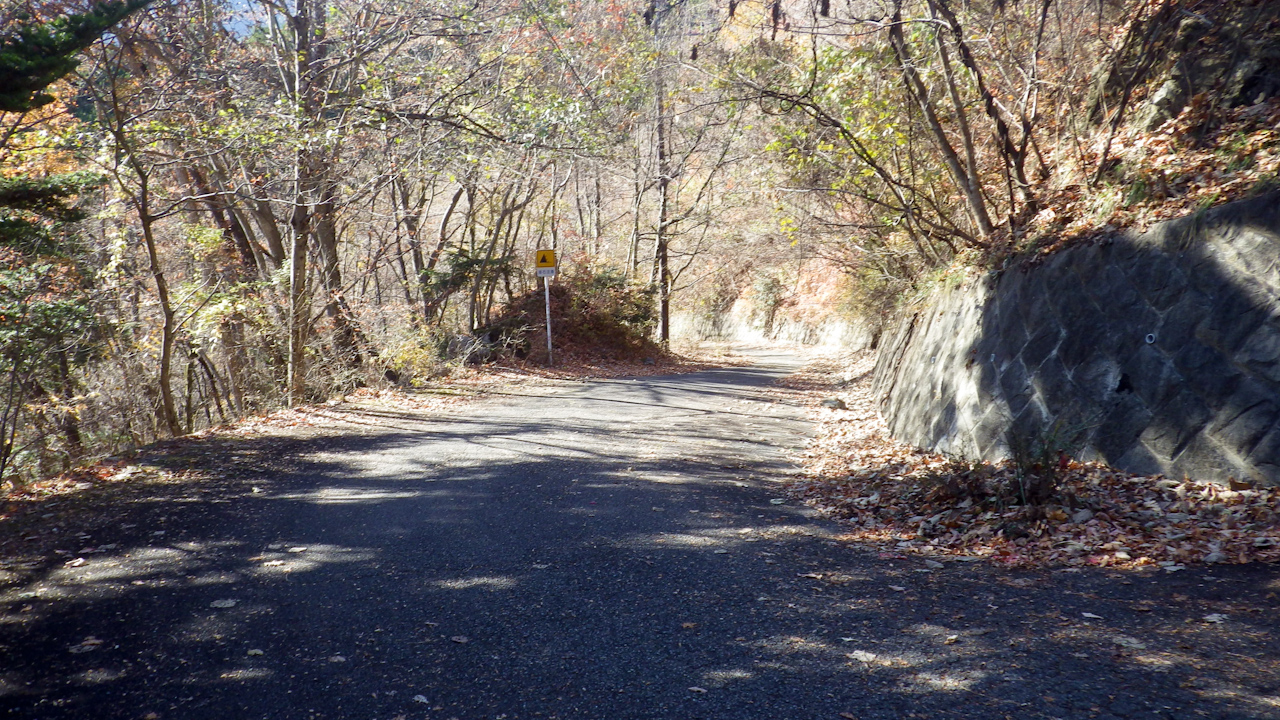 クラブライドで都民の森に行ってきました