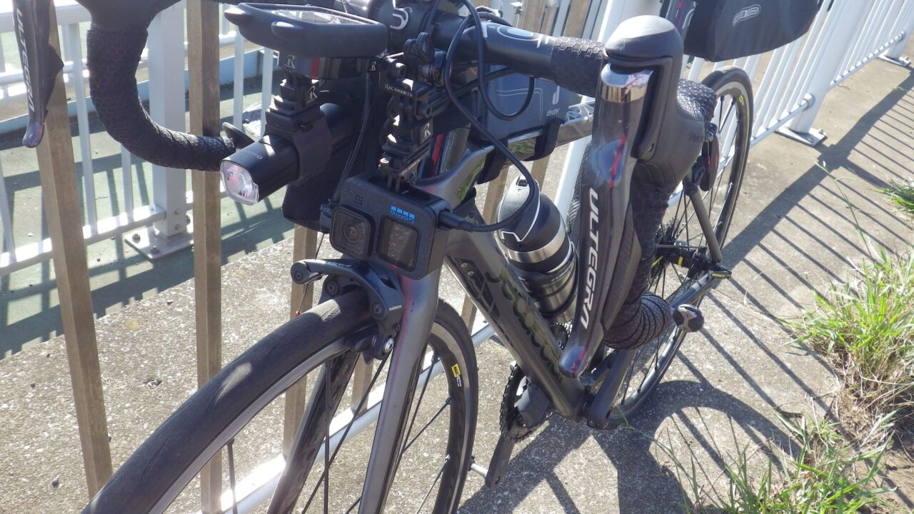 久しぶりに葛西臨海公園までサイクリングしてきました