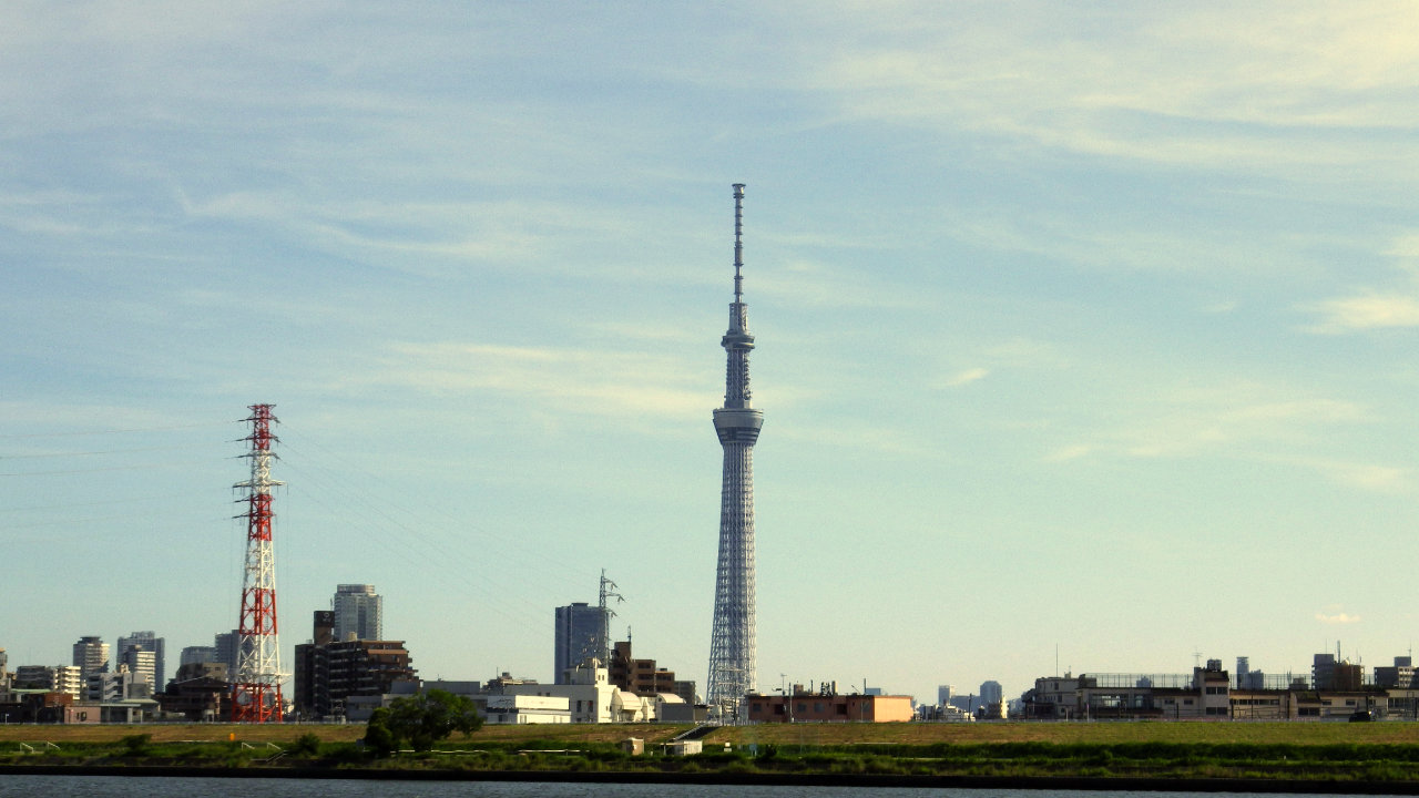 久しぶりに葛西臨海公園までサイクリングしてきました
