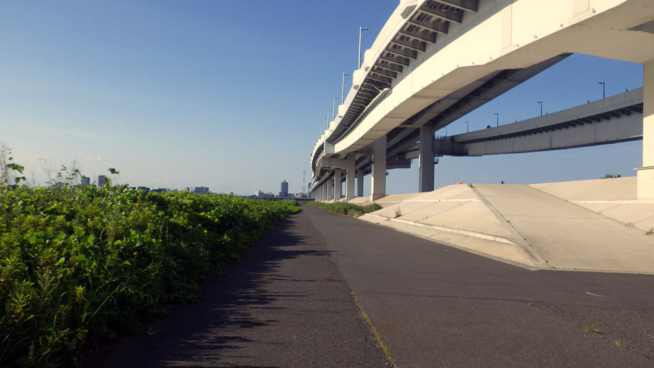 久しぶりに葛西臨海公園までサイクリングしてきました