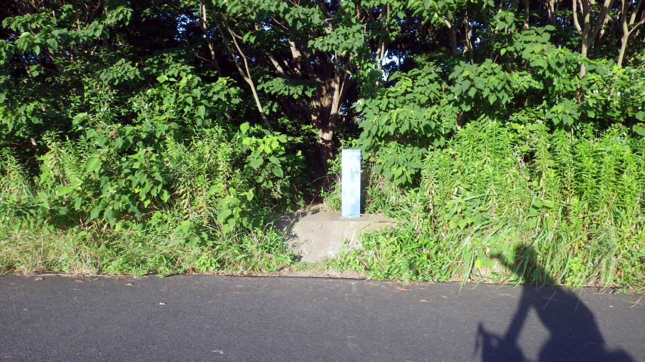 久しぶりに葛西臨海公園までサイクリングしてきました