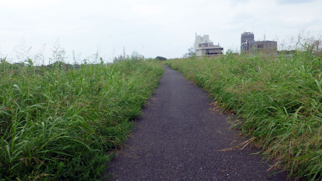 久しぶりにいもようかんライドしてきました